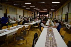 Dirndl und Janker Ball 2020
