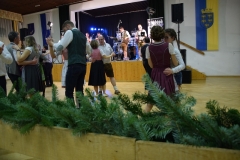 Dirndl und Janker Ball 2020